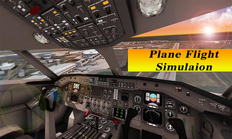 8. Plane Flight Simulator