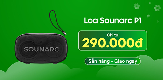 Loa Sounarc P1