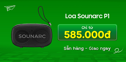 Loa Sounarc P1
