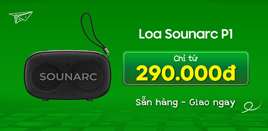 Loa Sounarc P1