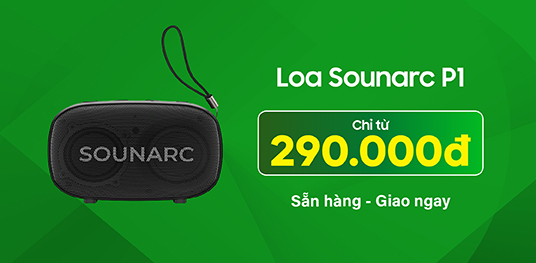Loa Sounarc P1