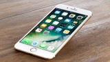 iPhone 7 hàng mới chính hãng với giá thành rẻ nhất thị trường