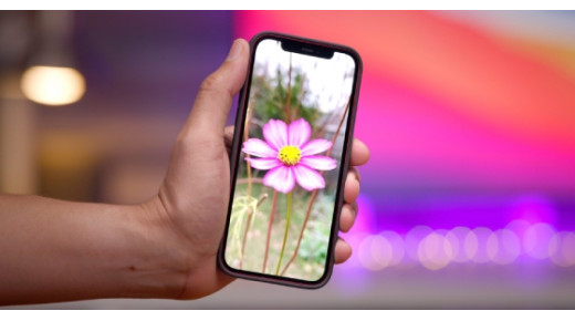Tất tần tật các kinh nghiệm chụp ảnh hoa trên iPhone 12 Pro