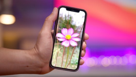 Tất tần tật các kinh nghiệm chụp ảnh hoa trên iPhone 12 Pro