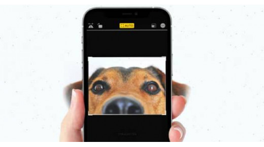 Hướng dẫn cách cắt ảnh trên iPhone hoặc iPad đơn giản nhất