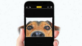 Hướng dẫn cách cắt ảnh trên iPhone hoặc iPad đơn giản nhất