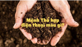 [Chuyên gia tư vấn] Người mệnh Thổ hợp điện thoại màu gì?