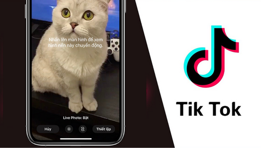 Làm mới màn hình khóa iPhone bằng video TikTok