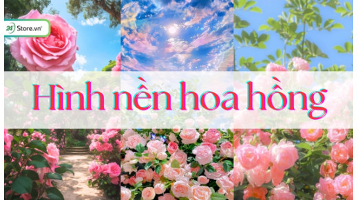 199+ Hình nền hoa hồng ĐẸP NHẤT, 8K cho điện thoại, máy tính