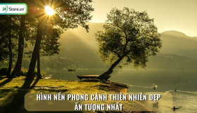 199+ Hình nền phong cảnh thiên nhiên ĐẸP, 4K sắc nét, hùng vĩ nhất