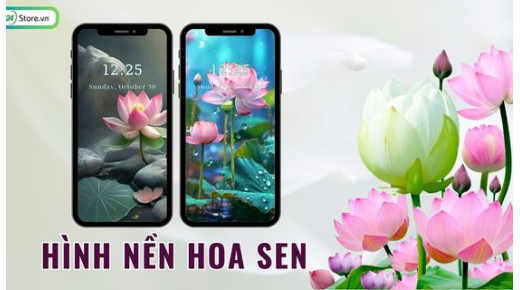 TOP 201+ Hình nền hoa sen ĐẸP NHẤT, chất lượng cao, 4K, miễn phí