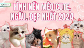 199+ Hình nền mèo cute, đẹp, ngầu 4K cho điện thoại, máy tính