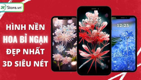 TOP 199+ Hình nền hoa bỉ ngạn ma mị, 3D ĐẸP NHẤT, siêu sắc nét