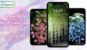 TOP 101+ Hình nền hoa Linh Lan ĐẸP NHẤT cho điện thoại, máy tính