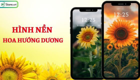 TOP 101+ Hình nền hoa hướng dương ĐẸP NHẤT, 4K cho điện thoại, máy tính
