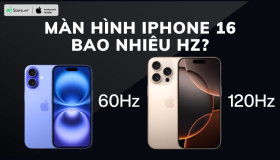 Màn hình iPhone 16 bao nhiêu Hz? Có nâng cấp so với bản tiền nhiệm?