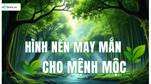 99+ Hình nền may mắn cho mệnh Mộc thu hút TÀI LỘC, may mắn