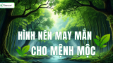 99+ Hình nền may mắn cho mệnh Mộc thu hút TÀI LỘC, may mắn