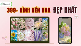 399+ Hình nền hoa ĐẸP NHẤT, rực rỡ, sắc nét, 4K, 8K