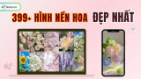 399+ Hình nền hoa ĐẸP NHẤT, rực rỡ, sắc nét, 4K, 8K