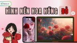 299+ Hình nền hoa hồng đỏ ĐẸP NHẤT, quyến rũ, độc đáo, Full HD