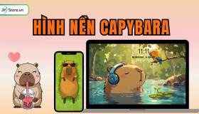 199+ Hình nền Capybara DỄ THƯƠNG, đáng yêu, vô tri, đẹp nhất