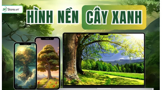 399+ Hình nền cây xanh TƯƠI MÁT, siêu nét và đẹp nhất