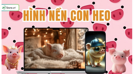 299+ Hình nền con heo ĐÁNG YÊU, cực dễ thương, siêu cute