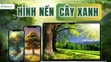 1999+ Hình nền cây xanh TƯƠI MÁT, siêu nét và đẹp nhất