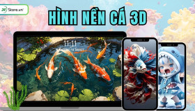 299+ Hình nền cá 3D ĐẸP NHẤT, 4K, Full HD, cute, sắc nét