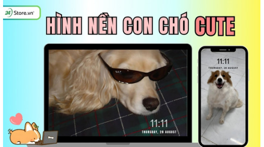 TOP 199+ Hình nền con chó DỄ THƯƠNG, cực đẹp, hài hước