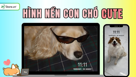 TOP 199+ Hình nền con chó DỄ THƯƠNG, cực đẹp, hài hước