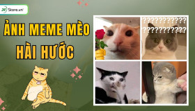 299+ Ảnh meme mèo HÀI HƯỚC, cực đáng yêu, cute, vui nhộn nhất