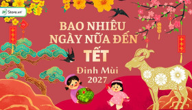 Còn bao nhiêu ngày nữa đến Tết 2027? Đếm ngược Tết Đinh Mùi