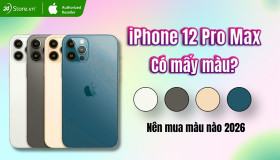iPhone 12 Pro Max có mấy màu? Nên mua màu nào 2026?