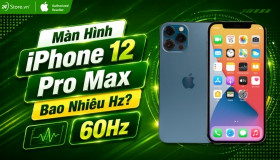 Màn hình iPhone 12 Pro Max bao nhiêu Hz?
