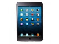 iPad Air 2 Wifi Cũ