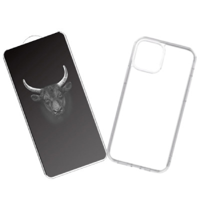 Combo iPhone 12/ 12 Pro (Dán KINGBULL + Ốp Mipow)