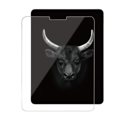 Miếng dán cường lực iPad 10.9 - 11 inch Mipow Kingbull Paper-Like 2 IN 1 Glass Screen Protector