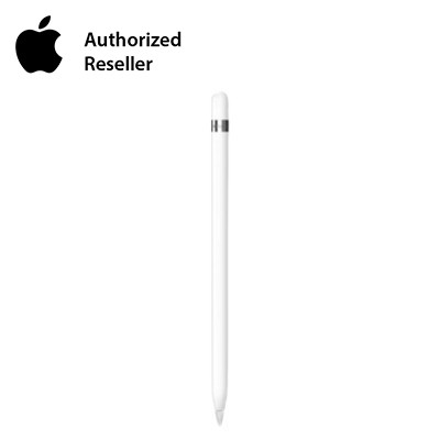 Apple Pencil 2 | Chính hãng Apple Việt Nam