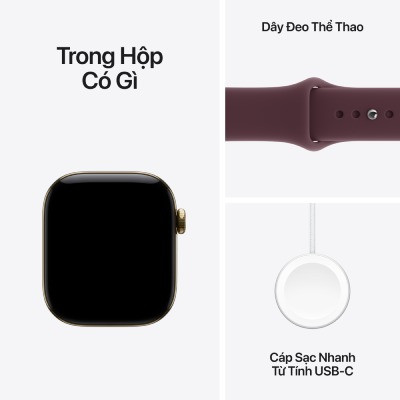 Apple Watch Series 12 42mm GPS + Cellular - Viền Titan, Dây Cao Su Size M/L 8