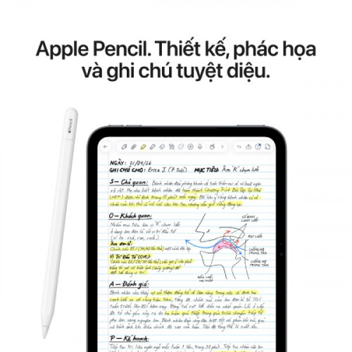 iPad mini 8 Wifi 2026 128GB 7