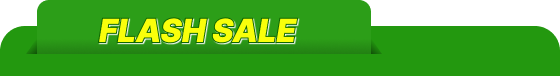 flash sale