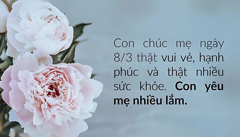 hinh-anh-8-3-tang-me