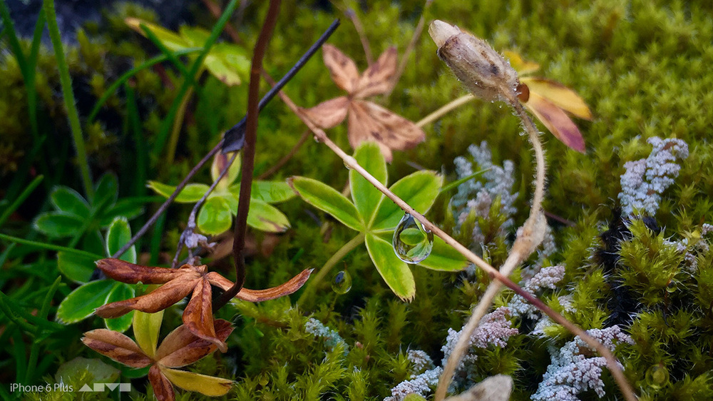 iphone 6 plus 64gb lock hinh anh 3