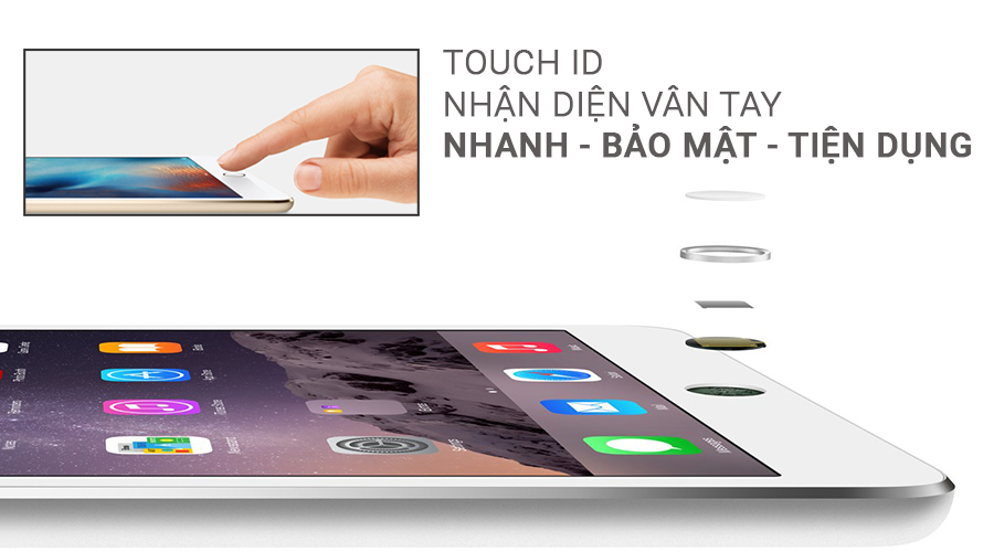 ipad mini 4 wifi cellular cu 99 hang my hinh anh 3