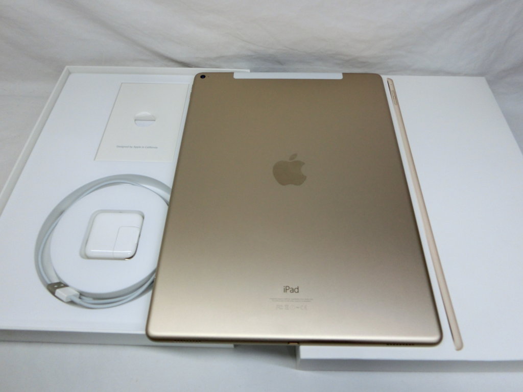 ipad pro 12 wifi hinh anh 4