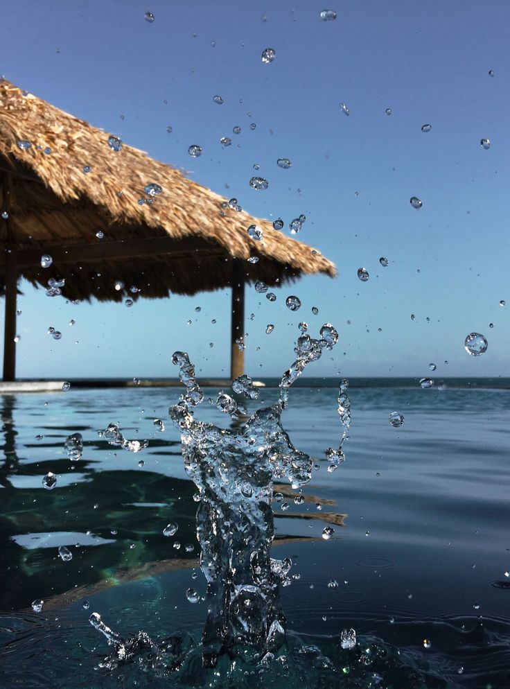 cach su dung camera tren iphone 8 hinh anh 1