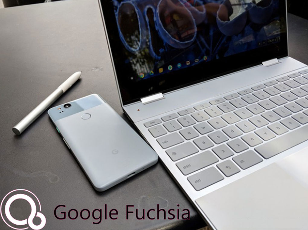 Fuchsia google