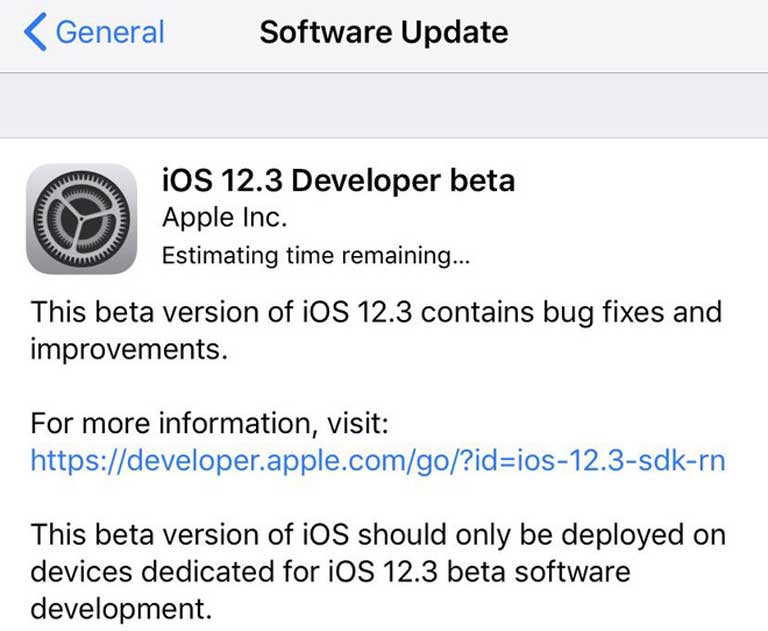 cập nhật iOS 12.3 Beta 
